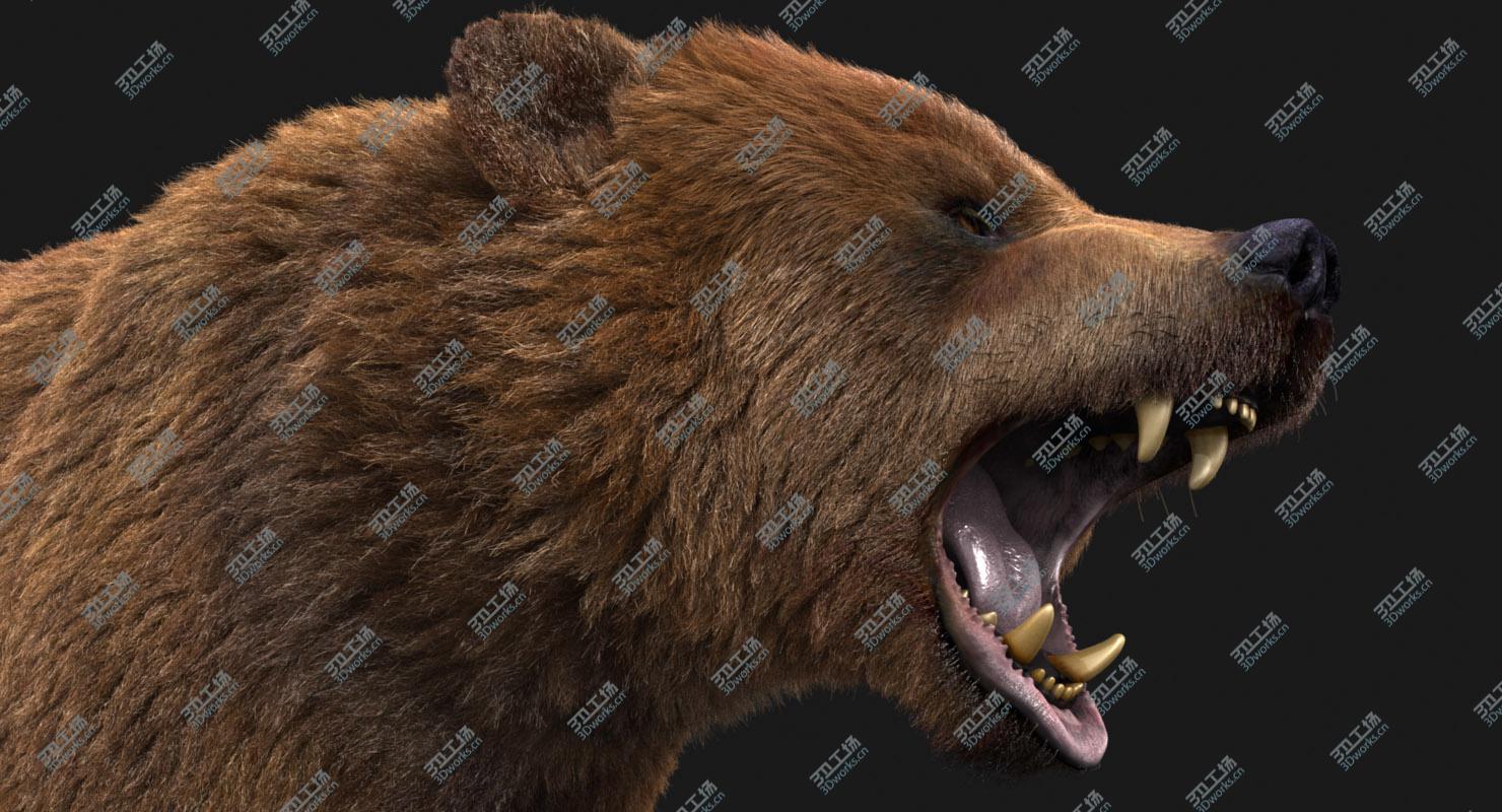 images/goods_img/20210114/3D model Bear (3) (FUR)/4.jpg